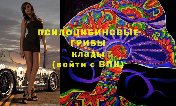 молекула духа Алексин
